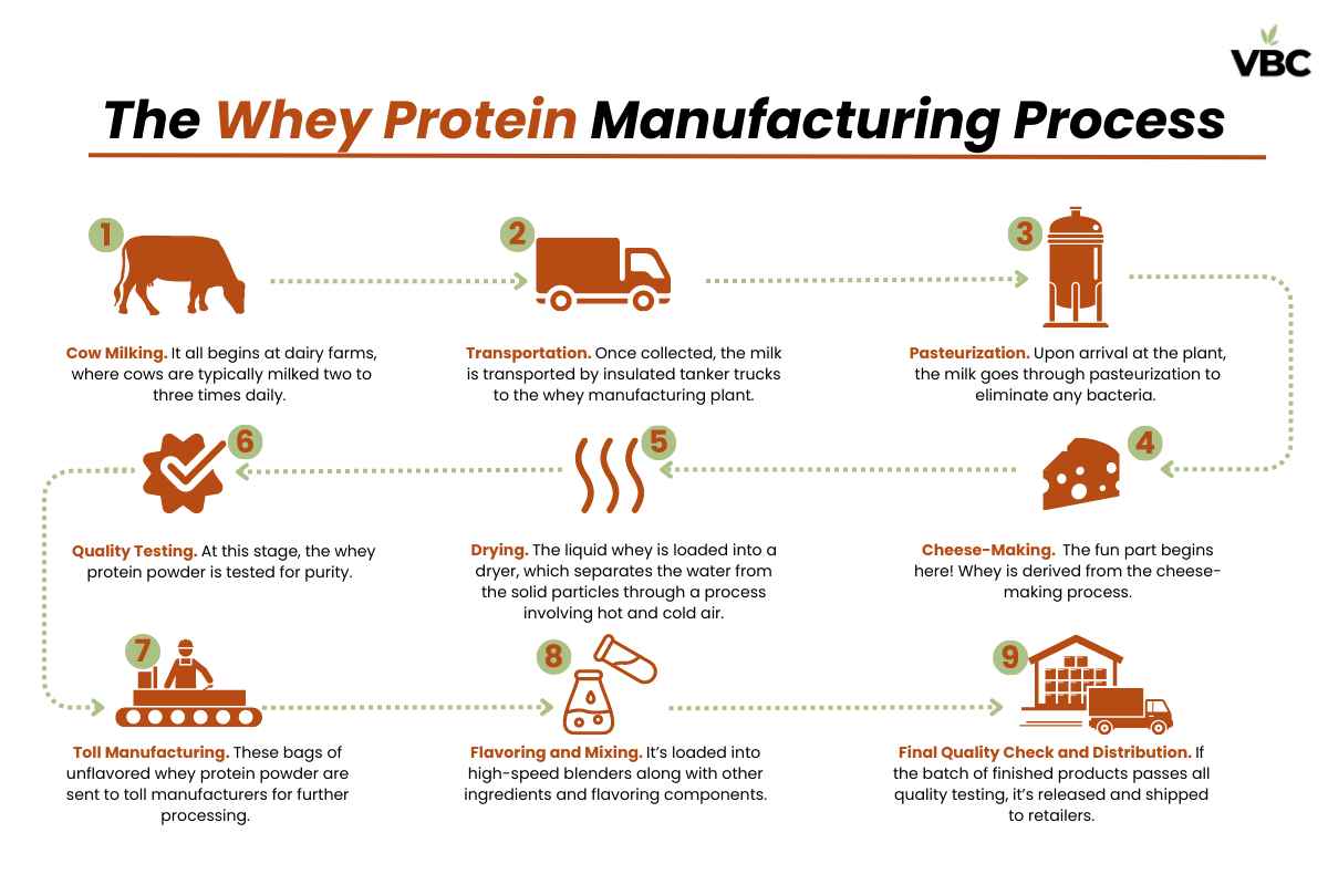 Blog Whey Protein Infographic 11zon