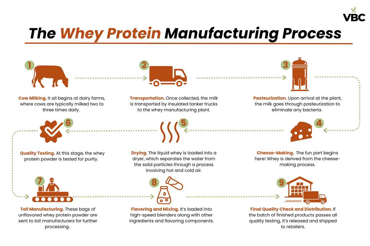 Blog - Whey Protein - Infographic_11zon Blog Whey Protein Infographic 11zon